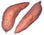 adenomyosis YAM